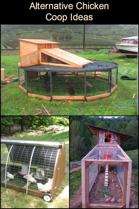 Give Your Chickens a Unique Home with These Alternative ...