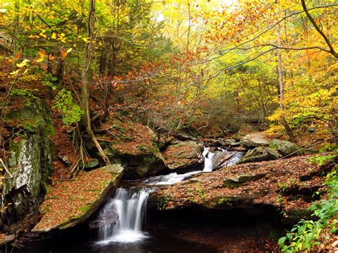Forests Autumn Waterfalls Foliage Nature Wallpaper Nature And