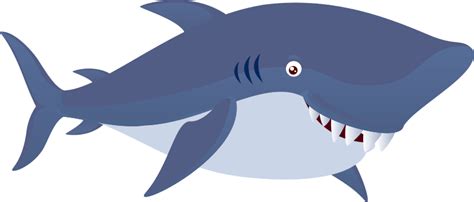 Great white shark , gummy shark great white shark tiger shark , sharks transparent background png clipart. Shark clipart 20 free Cliparts | Download images on ...