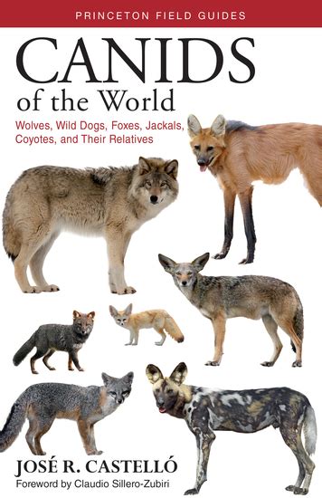 Canids Of The World Wolves Wild Dogs Foxes Jackals Coyotes And Their