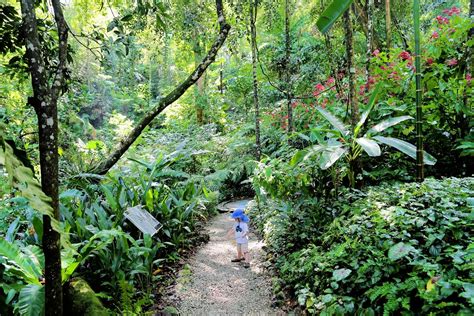 Tropical spice garden, pinang, pulau pinang, malaysia. Tropical Spice Garden & Tanjung Bungah: What to Expect