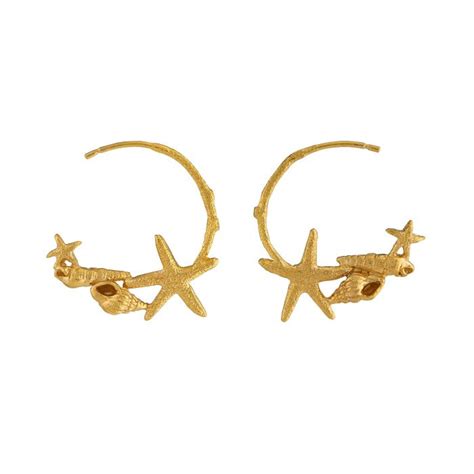 Starfish And Shell Hoop Earrings Saint Gyles Jewellers
