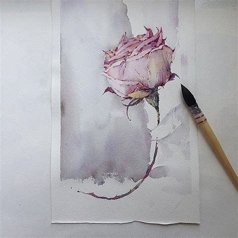 Flowers Sketchbook By Katerina Pytina On Behance Watercolor Rose