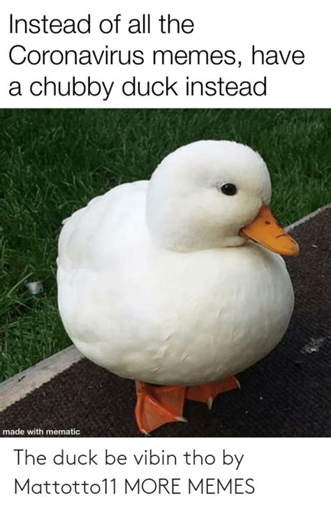 🐣 25 Best Memes About The Duck The Duck Memes