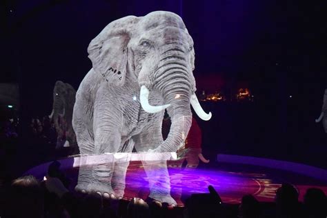 Un Cirque Remplace Ses Animaux Par Des Hologrammes Le Bonbon