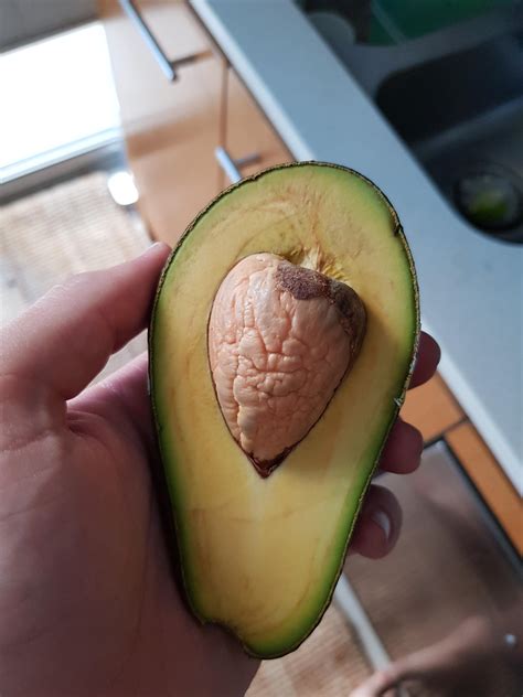 The Inside Of My Avocado Seed Looks Like A Braintesticle R
