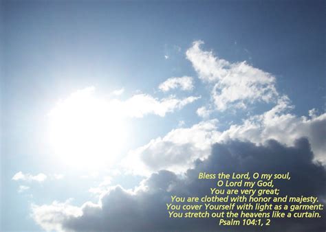 Thou art clothed with honour and majesty. scrippix: July 2010