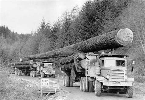 Pin By Clifton Leavings On Log Trucks Big Rig Trucks Big Trucks