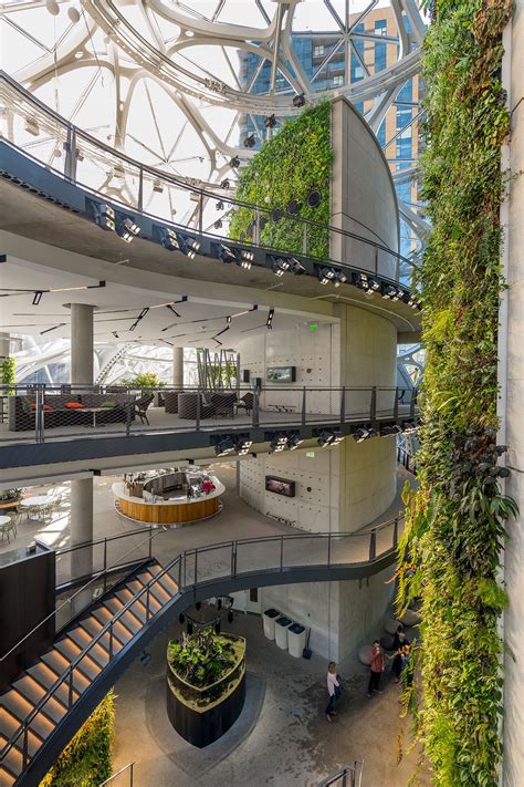 The Spheres Exploring Biophilia In The Modern Workplace Biophilic