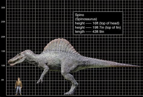 Spinosaurus Wiki Jurassic Park