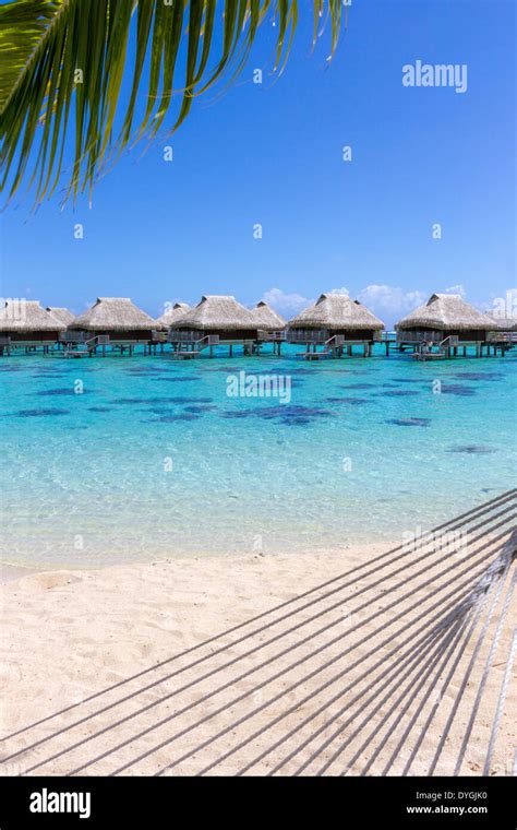 Rope Hammock And Palm Tree Branch On A Beach With Overwater Bungalows