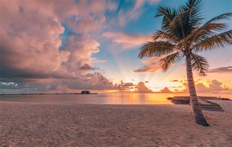 Wallpaper Sand Beach The Sky Clouds Sunset Tropics Palma The
