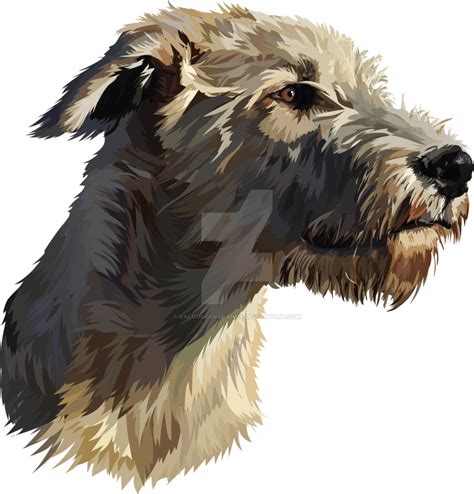 Encontrado En Bing Desde Irish Wolfhound Wolfhound