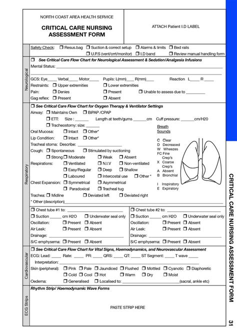 Nursing Assessment Cheat Sheet For Clinicals Critical Care Nursing Assessment Form School