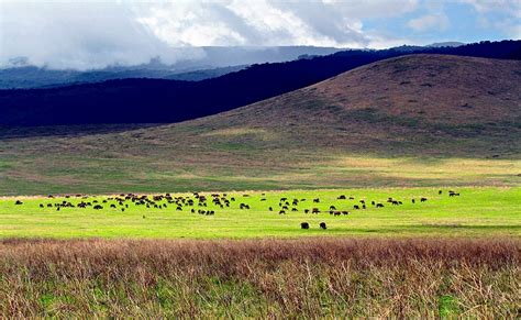 Ngorongoro Crater Tanzania Africas Garden Of Eden ~ Amazing World