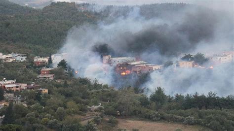 Posted on december 14, 2013 by cemalbayar. Hatay'daki orman yangınında korkunç manzaralar, alevler ...