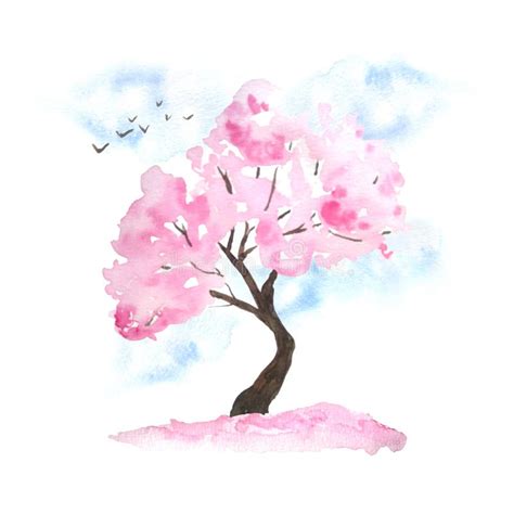 Watercolor Hand Drawn Design Illustration Of Pink Cherry Sakura Tree In