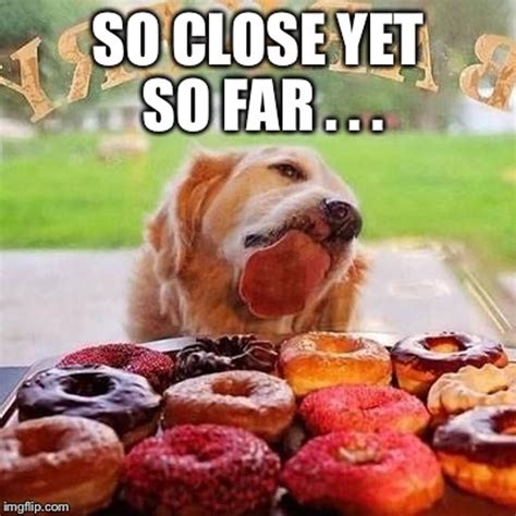 13 Memes About Doughnuts For National Doughnut Day That Will Leave You With So Many Cravings