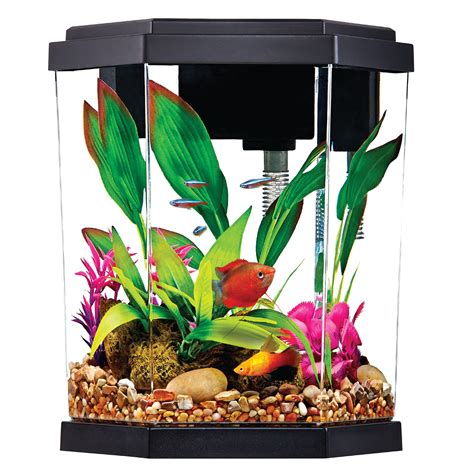 Top Fin Hexagon Aquarium 2 Gallon Fish Starter Kits Petsmart