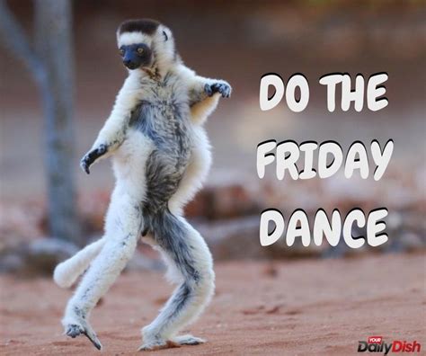 The 25 Best Friday Dance Ideas On Pinterest Happy Friday Dance