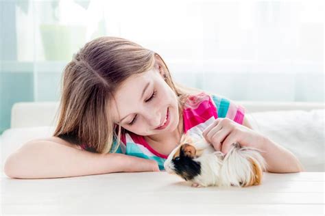 If they took about the level of work a cat took that would be fine, maybe a bit lower would be better. 11 Best Small And Low Maintenance Pets For Kids To Consider