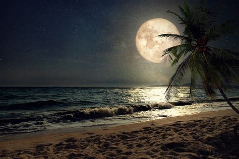 Royalty Free Moonlight Pictures Images And Stock Photos Istock