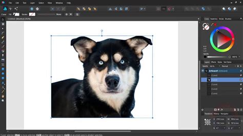 Affinity Designer How To Remove Background 1000 Hintergrundbilder Free
