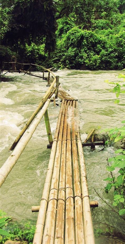 Bamboo Bridge Puentes Bambú Construccion