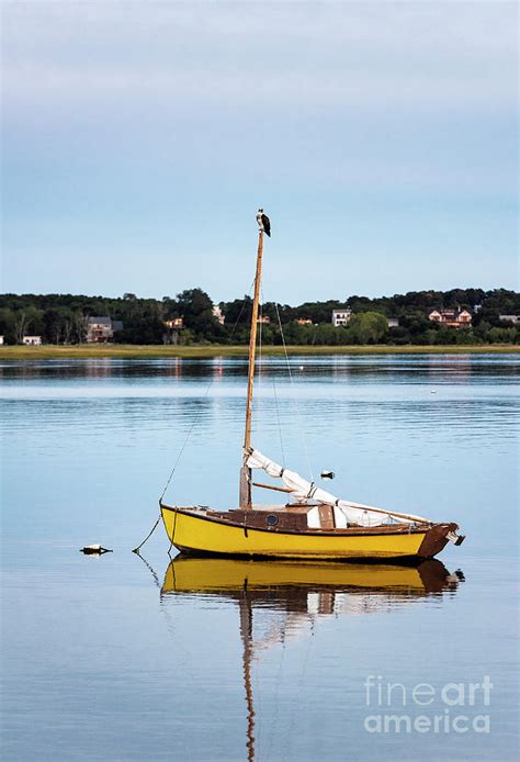 Osprey Sailboat Photograph By John Greim Fine Art America