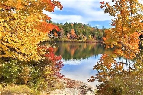 6 Picturesque Boston And New England Fall Foliage Tours