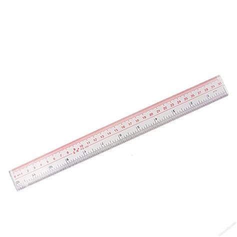 Plastic Ruler 12