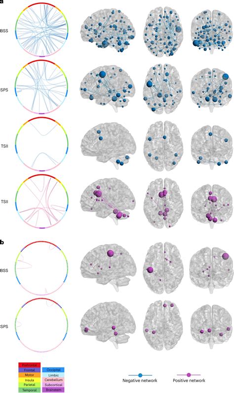 Study Reveals Brain Connectivity Patterns Can Predict Suicide Risk In