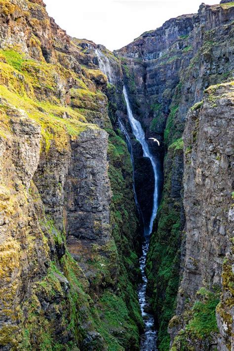 Glymur Waterfall The Complete Hiking Guide Earth Trekkers