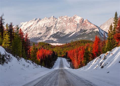 23 Magical Things To Do In Jasper In Winter 2024