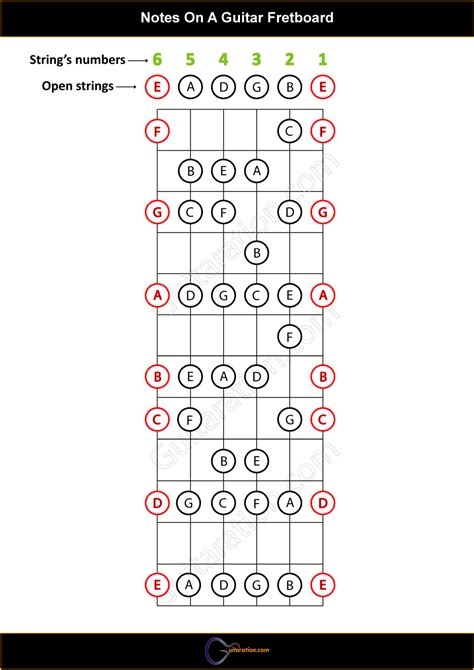 A Helpful Illustrated Guitar Fretboard Notes Guide