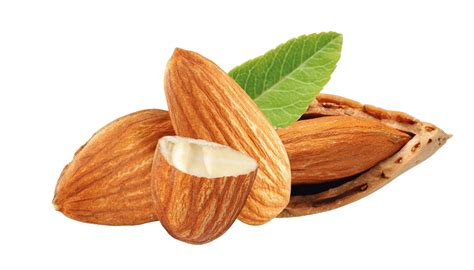 Almond Png Photos Png Play