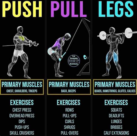 Push Pull Legs Routine The Best Mass Building Workout Split