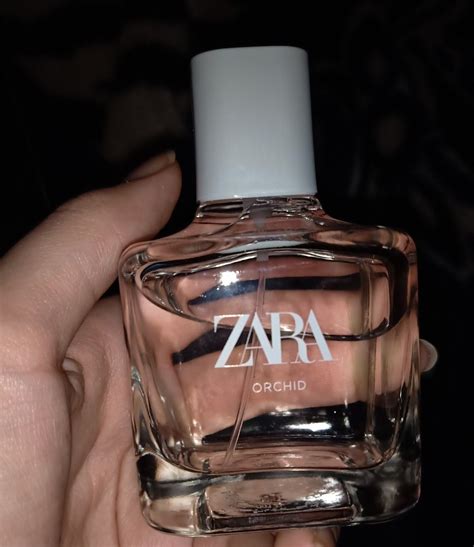 Best Zara Perfume For Her 2021 Deloris Bradshaw