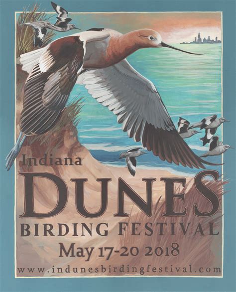 14 Million Birds Indiana Dunes Longshore Birding