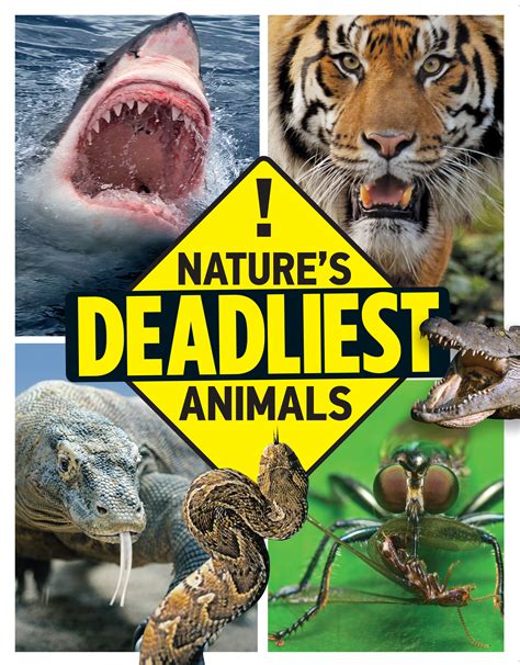 Discover Natures Deadliest Animals And How They Attack Their Prey