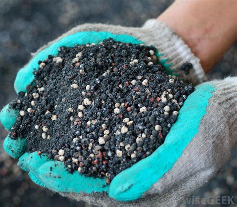 Organic fertilizers are fertilizers that are naturally produced and contain carbon (c). What is Phosphorus Fertilizer? (with pictures)