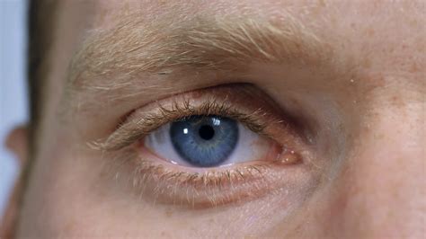 Macro View Male Blue Eye Close Up Nordic Stock Footage Sbv 318379395