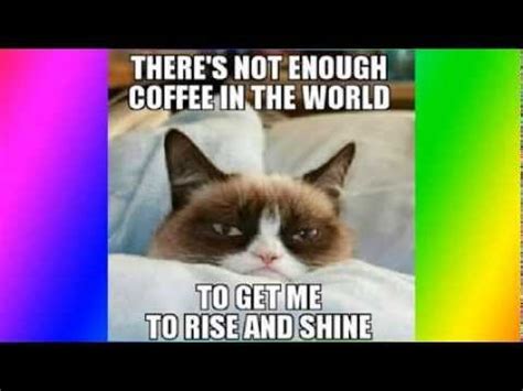 So, a portion of sincere, genuine laughter. Collect the Luxury Clean Funny Grumpy Cat Memes ...