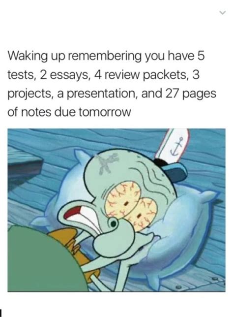 We all procrastinate from time to time. 335 Hilarious Posts About Procrastination You Probably Shouldn't Be Reading Right Now | Bored Panda