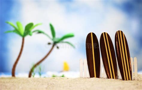 Surfboards On Tropical Beach Stock Photo Image Of Relaxation Storage