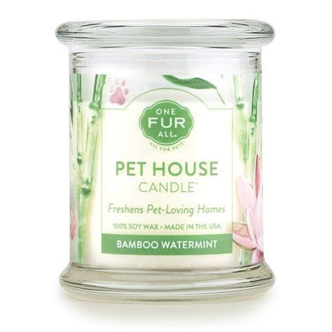 .outdoor laundry & cleaning home safety home improvement gardening & plants home electronics ikea food & restaurant leisure & travel pet accessories summer winter holidays. Bamboo Watermint Pet House Candle: Pet Odor Candle 100% ...