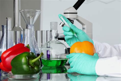 Open rbth to know more about russian developments. Careers in Food Technology | How to become a Food ...