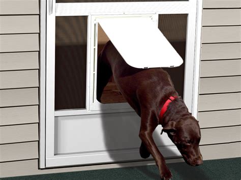 Pet Doors Screen Door With Pet Door Dog Screen Doors Pca Products