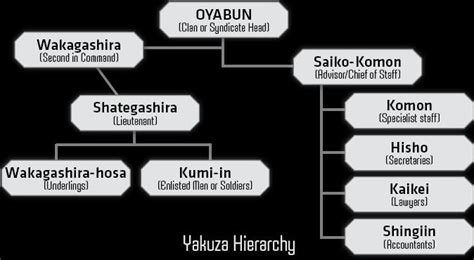 business hierarchy titles chart triad vs yakuza head to head comparison stillunfold the