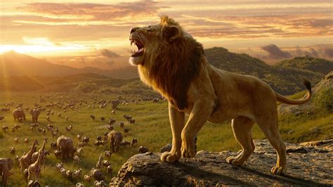 This isn't one of them. Simba in The Lion King 4K Wallpapers | HD Wallpapers | ID ...